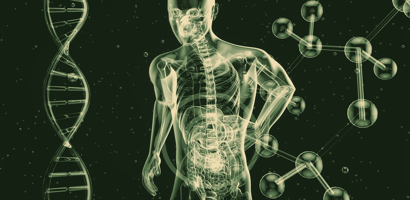 Illustration of the human digestive system beside a DNA strand, tinted green